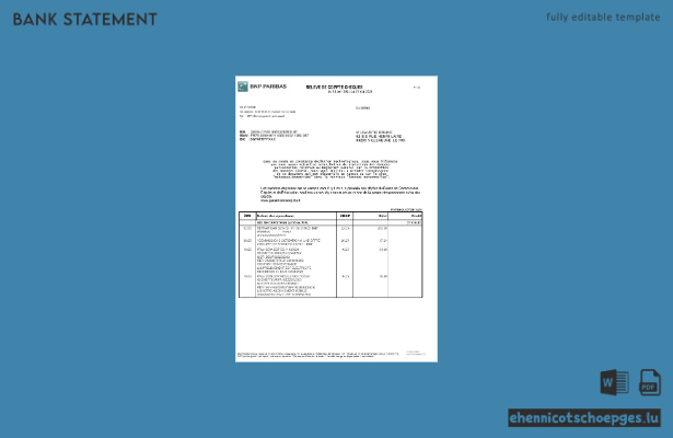 Beispiel-Excel- und PDF-Vorschau eines Kontoauszugs der französischen BNP Paribas.